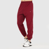 Tf-Premium Maroon Relaxed Fit Single Piping Bottoms