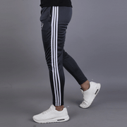 Three Stripes Charcoal Hawk Series Bottom - TeeFit Fashion
